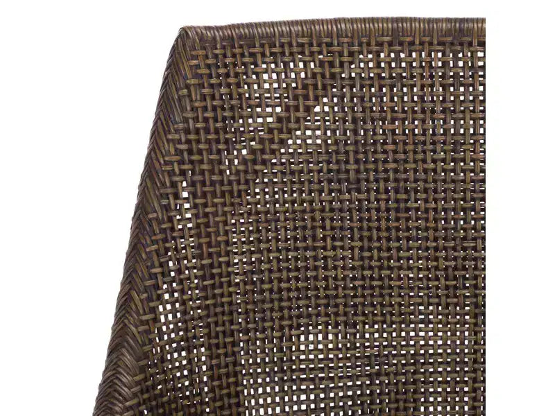 Poltrona - ACH4905 - Marrone Scuro/Avorio - Safavieh